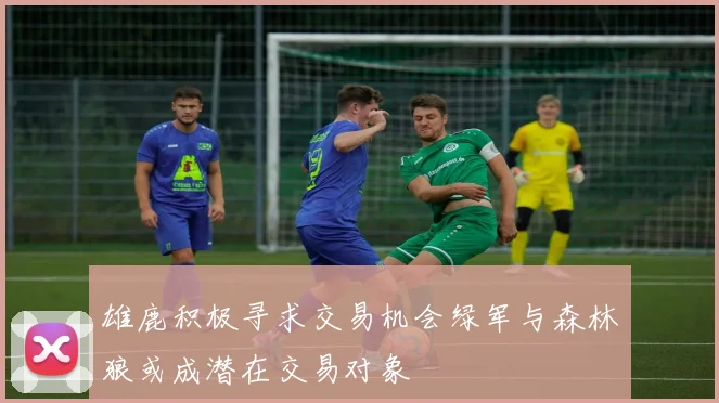 雄鹿积极寻求交易机会绿军与森林狼或成潜在交易对象