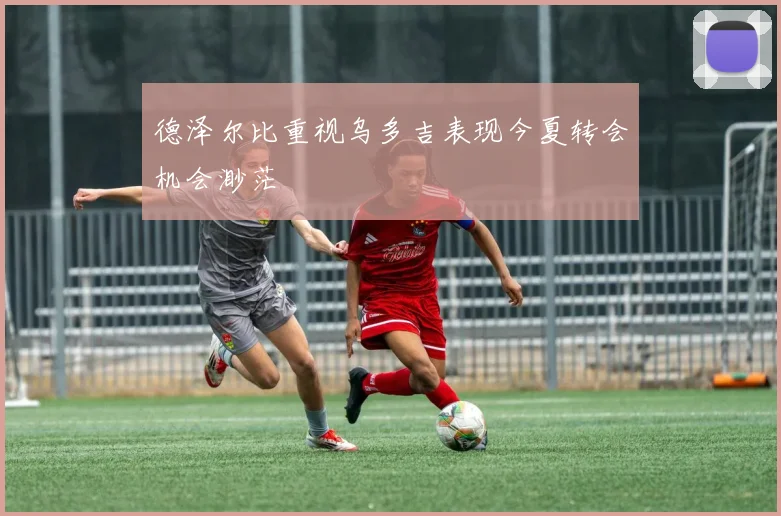 德泽尔比重视乌多吉表现今夏转会机会渺茫
